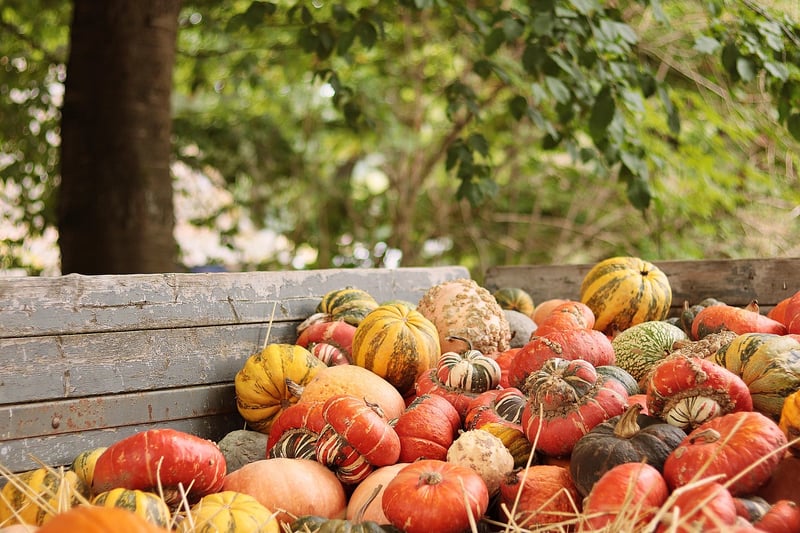 Seasonal Produce Showcase