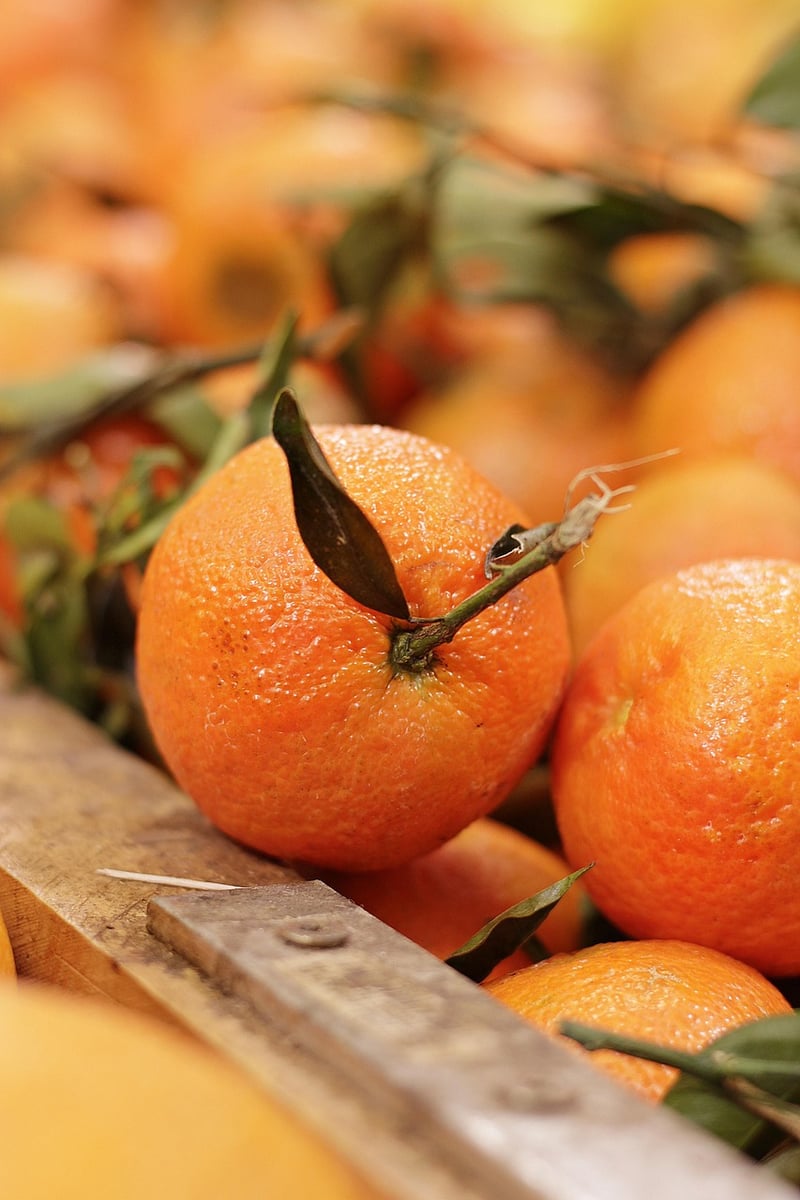 Citrus Fruits